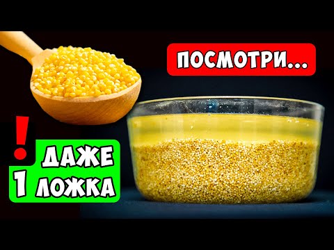Видео: Вот что Вытворяет с Организмом ПШЕНО! 90% людей этого не знают, а зря...