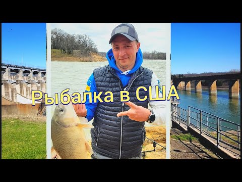 Видео: Рыбалка в США. Почему американцы не едят карпа?