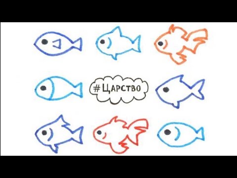 Видео: Детский библейский урок. Рыбы разного рода. Мф 13:47-48