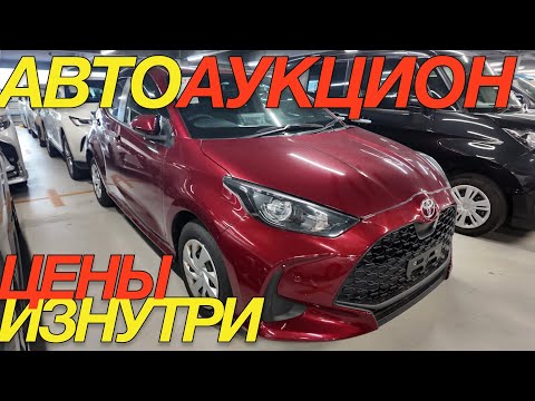 Видео: ЯПОНЦЫ ПОПАЛИ! СКОРО УТИЛЬ СБОР TOYOTA CH-R COROLLA TOURING YARIS WISH SPADE MAZDA AXELA