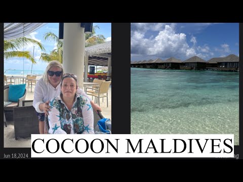 Видео: МАЛЬДИВЫ. COCOON MALDIVES. Опасный снорклинг, Обзор пляжей и Чудный вечер на Острове!