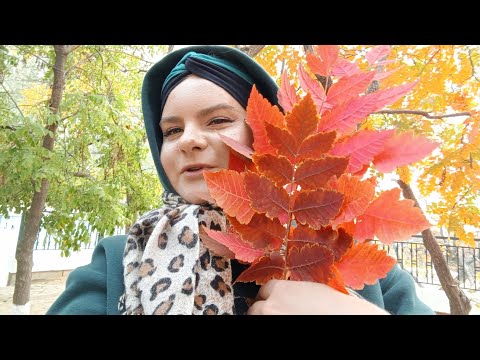 Видео: VLOG: ВЫХОДНОЙ ДЕНЬ со мной, иду на ФИЛЬМ "ТРОН: АРЕС" одна