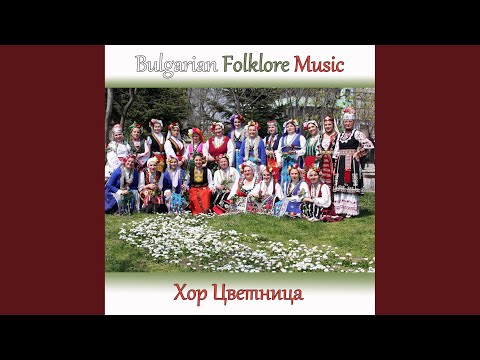 Видео: Брала мома ружа цвете