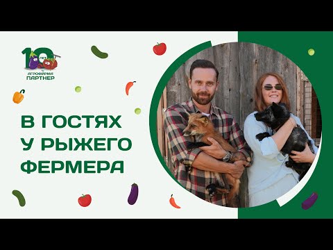 Видео: ЛЕТНЕЕ ТУРНЕ 2024 В ГОСТЯХ У РЫЖЕГО ФЕРМЕРА