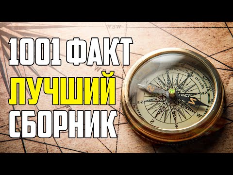 Видео: 1001 ИНТЕРЕСНЫЙ И НЕВЕРОЯТНЫЙ ФАКТ ОБО ВСЕМ НА СВЕТЕ