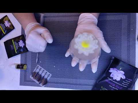 Видео: Магия Желе , 3D ART Делаем полевую ромашку.