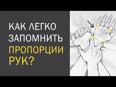 Видео: 100% СПОСОБ Запомнить пропорции с первого раза! И иметь вечную шпаргалку