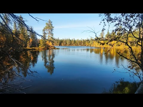 Видео: Воттоваара часть 2