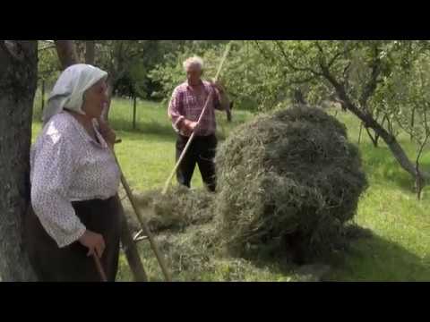 Видео: ТЕСТЬ