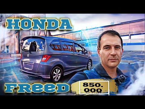 Видео: Honda Freed 2010 за 850.000