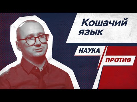 Видео: Как понимать котов — объясняет зоопсихолог // Наука против