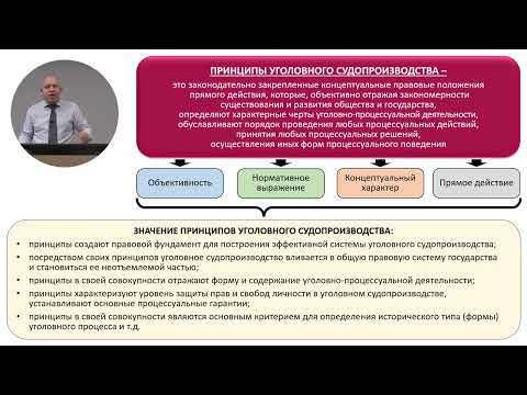 Видео: Записана  обновленная лекция "Принципы уголовного судопроизводства, часть 1"