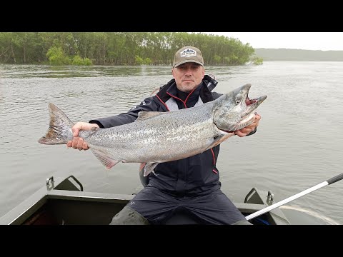 Видео: КАМЧАТКА, РЫБАЛКА, ЧАВЫЧА И ШАМПАНСКОЕ. King salmon fishing