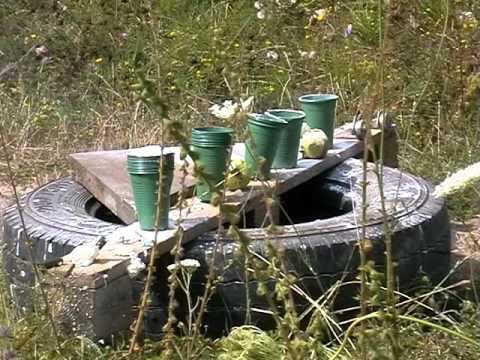 Видео: Соболь и  яблочки 22lr