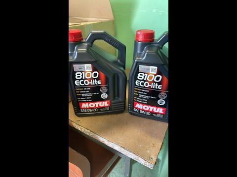 Видео: Как отличить оригинальное масло Motul 8100 Eco light 5W-30 от подделки.