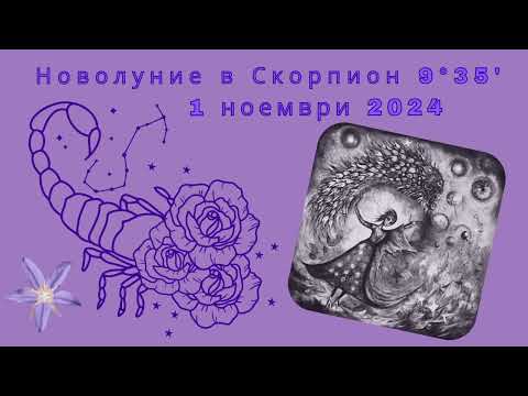 Видео: Новолуние в Скорпион🌑♏ 9°35' 1 ноември 2024🍁🍄🦂