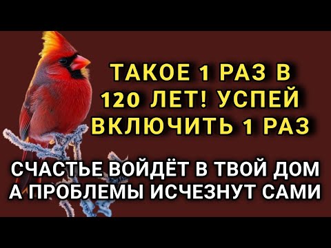 Видео: ☝️💖 УСПЕЙ ВКЛЮЧИТЬ 1раз! СЧАСТЬЕ ВОЙДЁТ В ДОМ, А ПРОБЛЕМЫ ИСЧЕЗНУТ САМИ! Это Чудо 🔊🤲✨🔑💯