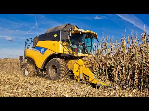 Видео: Самодельный кукуруза уборочный комбайн!👍