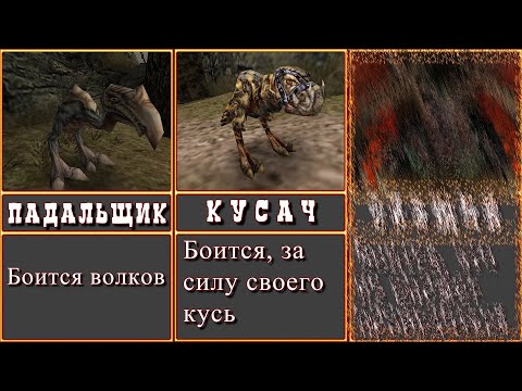 Видео: Чего БОЯТСЯ МОНСТРЫ первой ГОТИКИ?