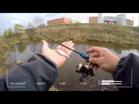 Видео: Шарнирные монтажи и мормышки. Ловля на спиннинг в мае. Плотва.