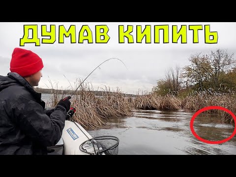 Видео: ОТ ЦЕ ТАК РИБАЛКА на СИЛІКОН!  на спіннінг у листопаді