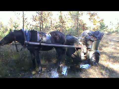 Видео: С МИХАИЛОМ В НЕ ПРОЕЗДНОМ ЛЕСУ В ПОИСКАХ ЗВЕРЯ .