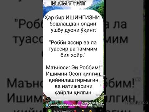 Видео: 13 октября 2025 г.