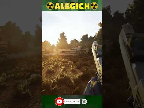 Видео: Чувствуете летнее тепло? Прохождение STALKER ANOMALY 1.5.3 GAMMA 0.9.4 на мастере