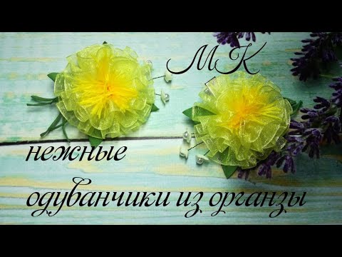 Видео: Нежные одуванчики из органзы мастер клас/
Delicate organza dandelions diy