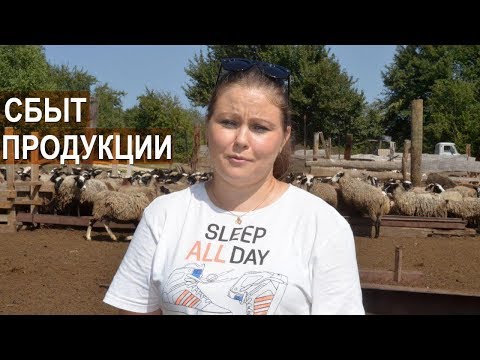 Видео: Сбыт баранины и козлятины. КФХ Енина. Кому нужно мясо? Республика Адыгея