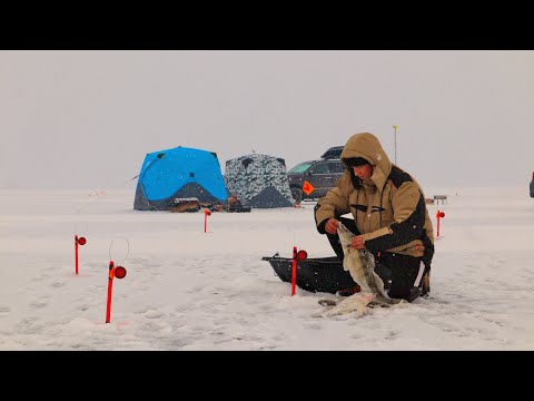 Видео: ТАКАЯ РЫБАЛКА БЫВАЕТ РАЗ В ГОД! ТРОФЕИ НЕ ЛЕЗУТ В ЛУНКИ! ЖЕРЛИЦЫ ТРЕЩАТ! Рыбалка в КАЗАХСТАНЕ