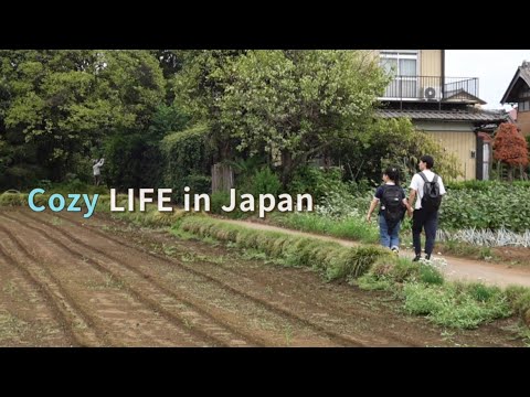 Видео: Уютная ЖИЗНЬ в Японии 🇯🇵: прогулки на природе, подземный храм и уютная еда