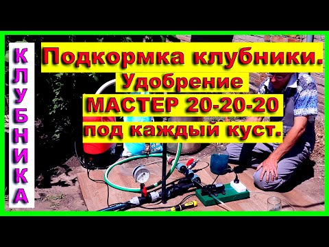 Видео: Подкормка клубники.  Удобрение мастер 20-20-20 под каждый куст.