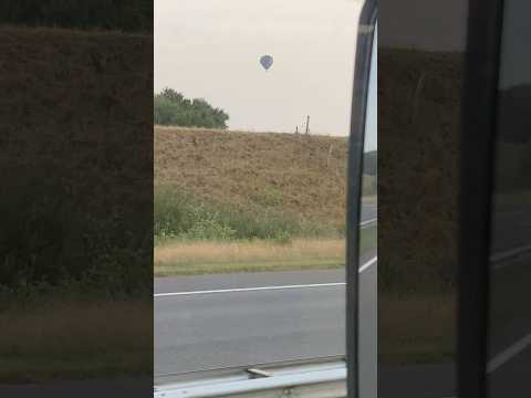 Видео: Овцы и воздушный шар Sheep and a Balloon