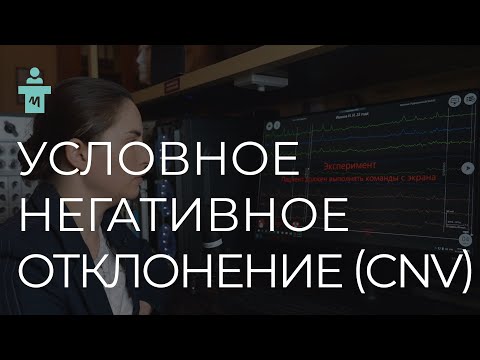 Видео: Что такое условное негативное отклонение (CNV)? Цикл лекций по вызванным потенциалам