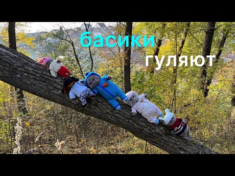 Видео: Басики гуляют