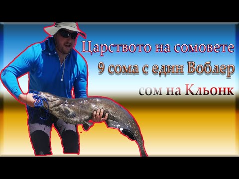 Видео: Риболов в царството на СОМОВЕТЕ! 9 СОМА на един ВОБЛЕР! Сом на кльонк