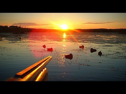 Видео: ОХОТА НА УТКУ. Открытие охоты пошло не по плану. Ночёвка в камышах.