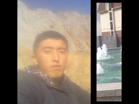 Видео: Самый опасно кошой