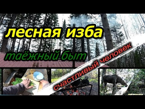 Видео: Лесная изба.Таёжный быт.Счастливый человек.