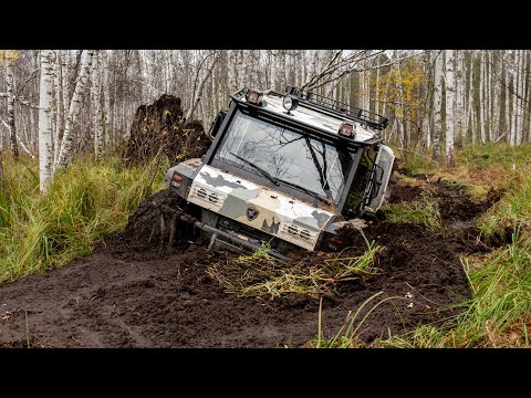 Видео: Коварное болото