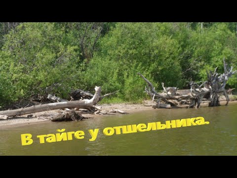Видео: Отшельник тайги..