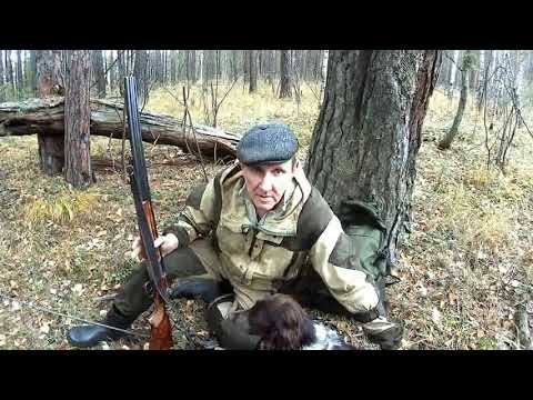 Видео: Осенняя охота с русским охотничьим спаниелем