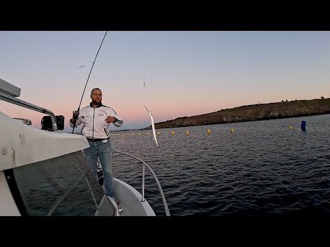 Видео: Лакърдии от кокпита / За риба с Аркадий в Созопол