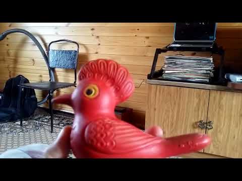 Видео: Жена или Игровая приставка. Инвеньстицыи.