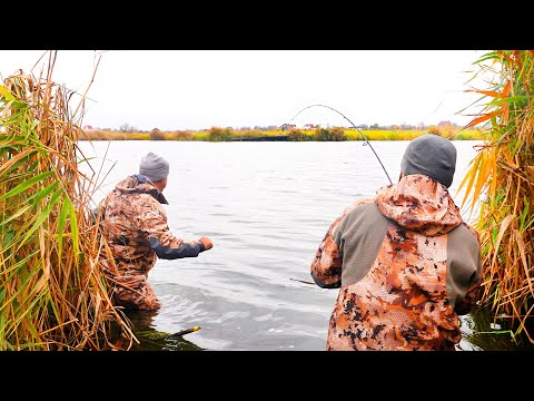 Видео: ВЗЯВ ЗЯТЯ НА РИБАЛКУ І ВПІЙМАЛИ МОНСТРА!