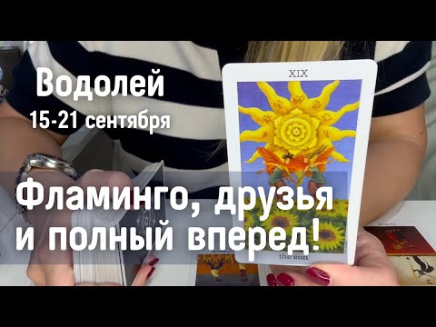 Видео: ВОДОЛЕЙ : Фламинго, друзья и полный вперёд! | Неделя 15-21 сентября 2025 таро прогноз