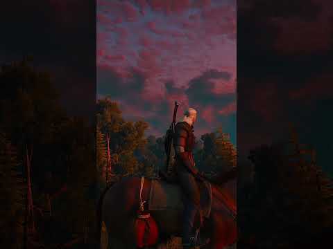 Видео: Багровый закат #ведьмак3 #thewitcher #thewitcher3 #новиград #gameplay #прохождение