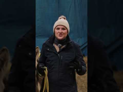 Видео: Ошибки в проработке Лидерства