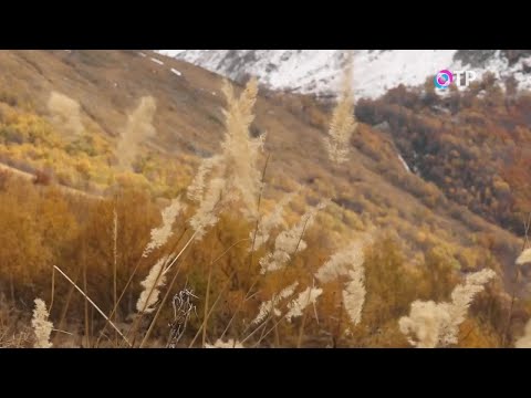 Видео: Чудесное явление